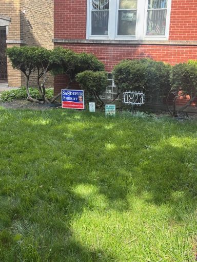 Brad Sandefur is springing up all over!